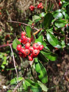 biodiversidad