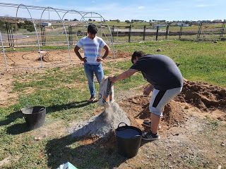 Invernadero. Preparación hormigón zapatas invernadero