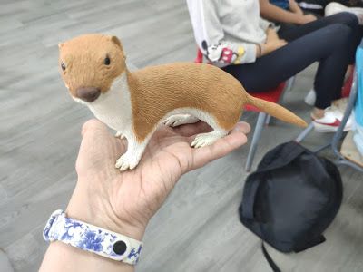 comadreja